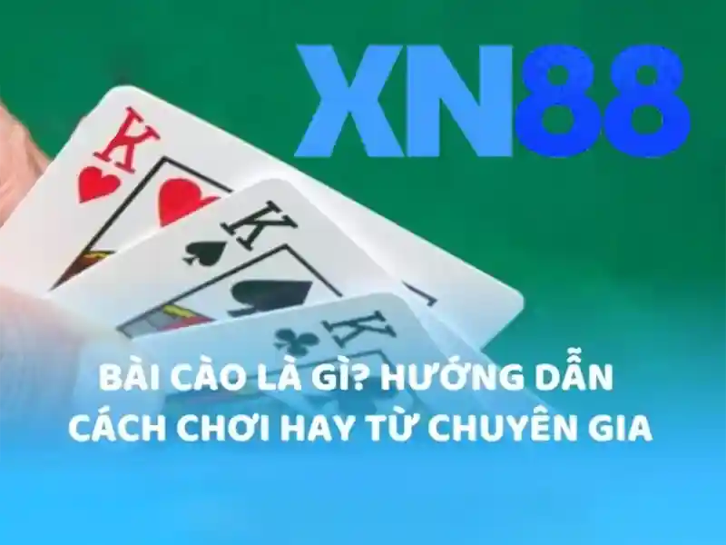 XN88 slot
