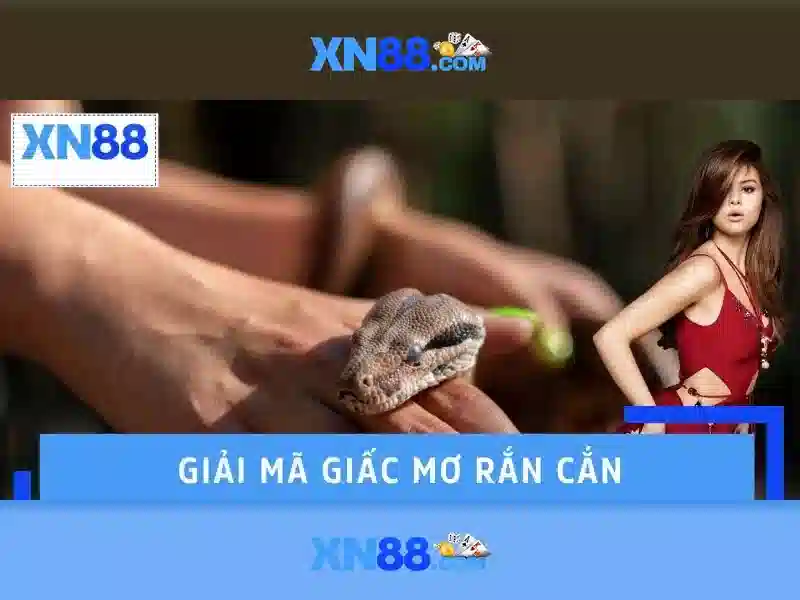 Trải Nghiệm Chơi Slot XN88