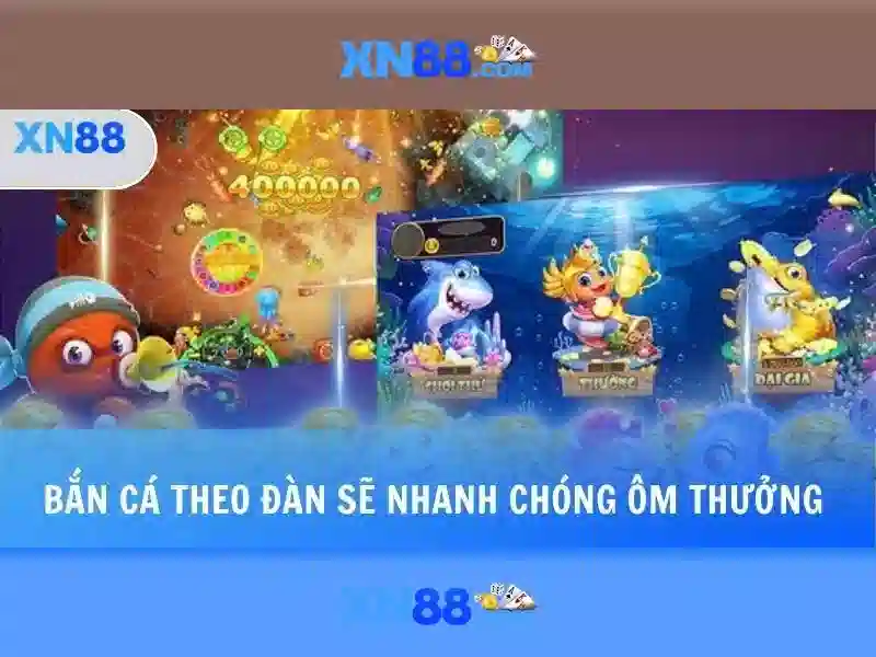 ưu đãi XN88 – Tận Dụng Tối Đa