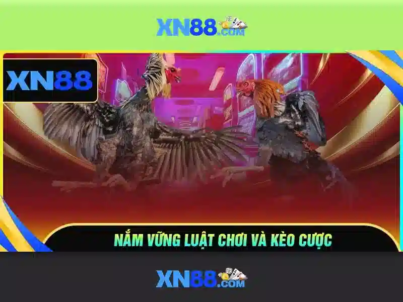 Trải nghiệm cá cược Slot đỉnh cao tại XN88 2026