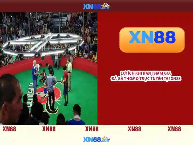 Đăng Nhập Slot XN88 An Toàn 2026