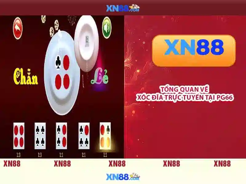 Quyền và nghĩa vụ Slot XN88