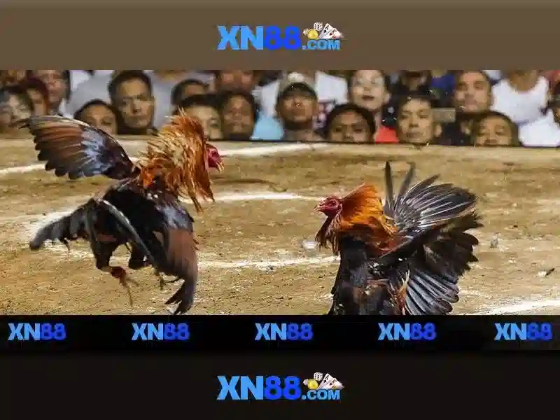 slot XN88