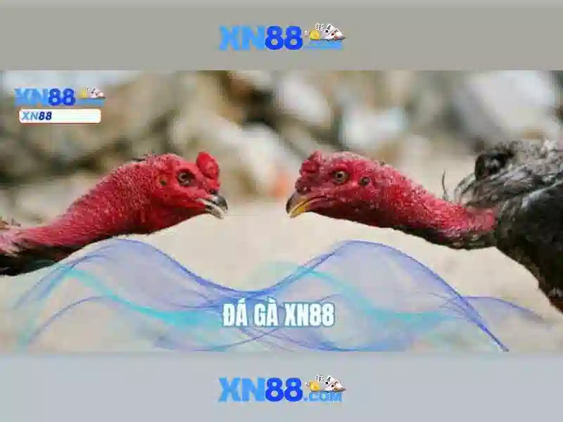 Ưu điểm XN88 Win