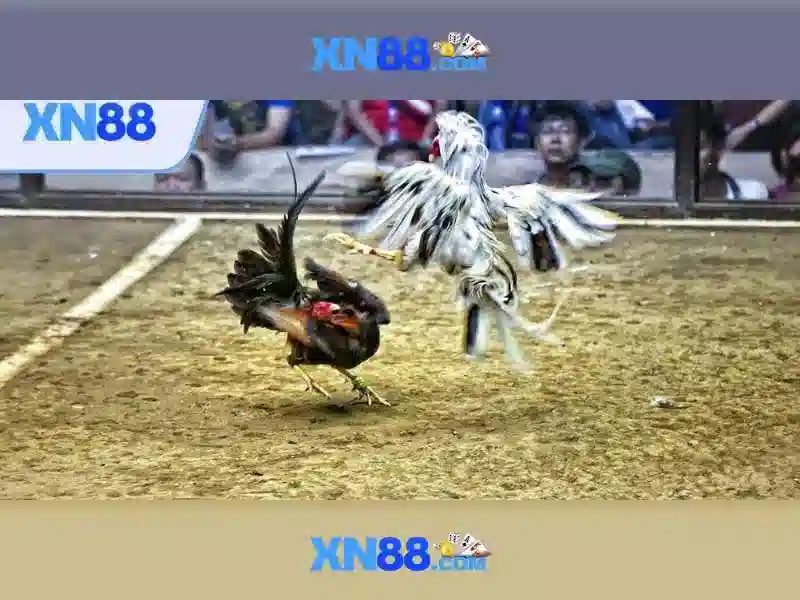 Kho game XN88 đa dạng và hấp dẫn