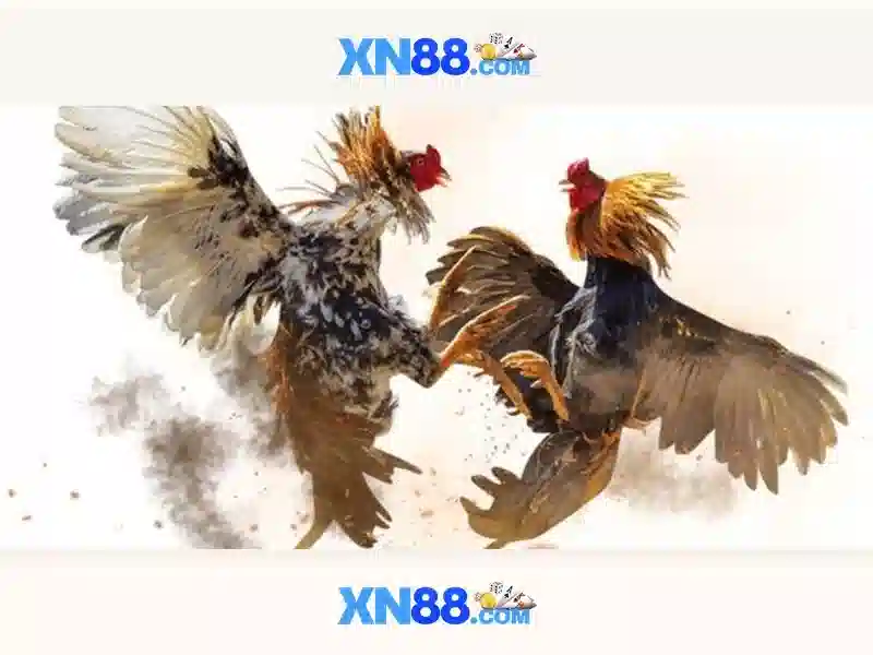 truy cập XN88