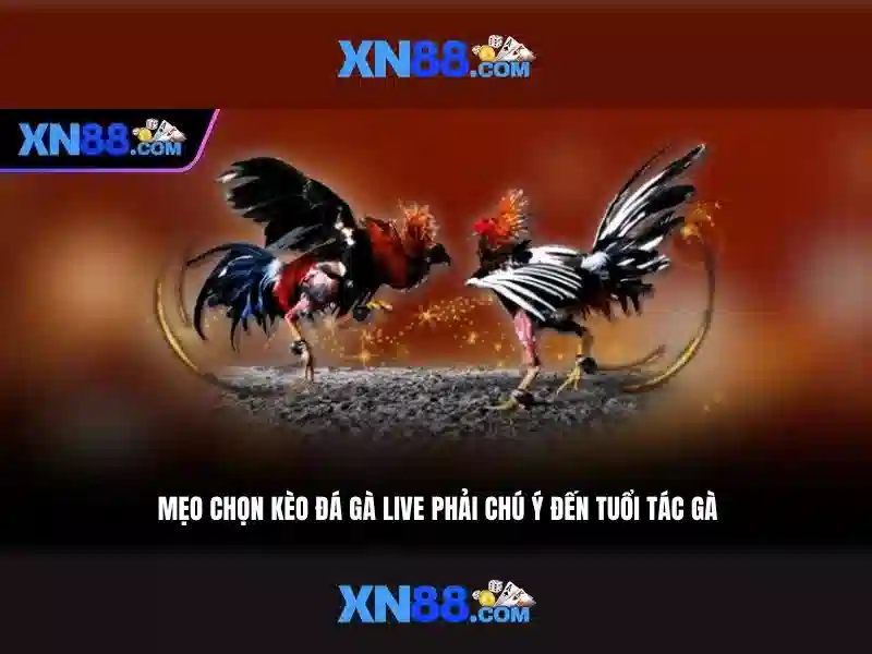 Kho game slot phong phú tại XN88 Gaming