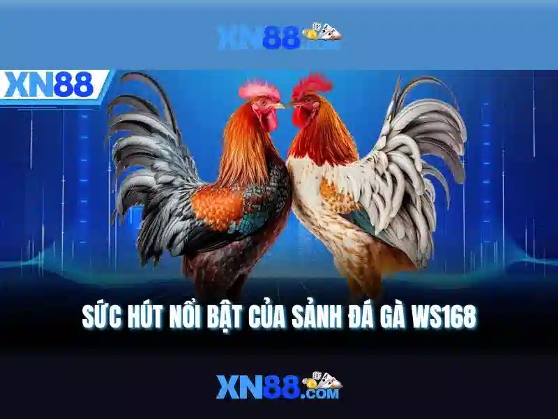 Đa Dạng Trò Chơi Slot