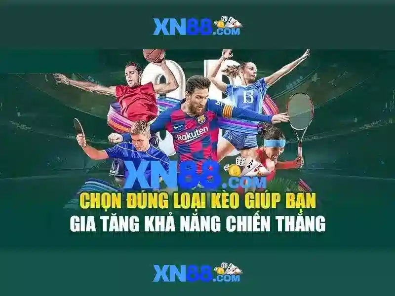 Chính Sách Miễn Trừ Trách Nhiệm XN88