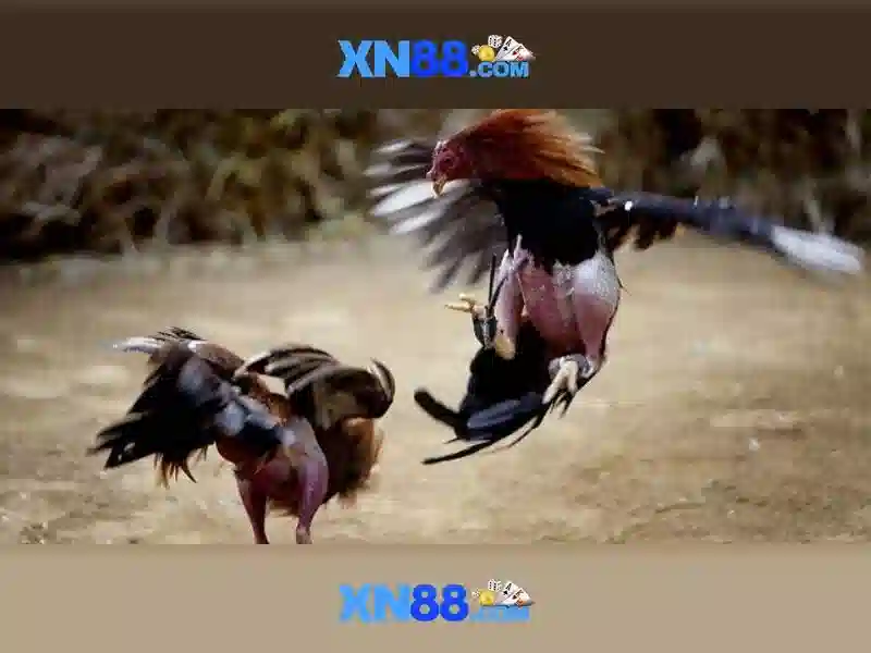 Trò chơi slot đỉnh cao