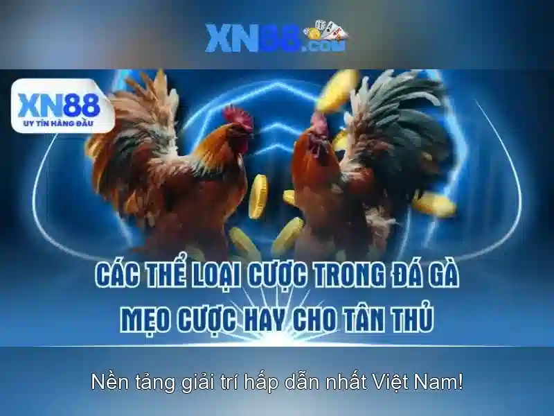 Tải App XN88