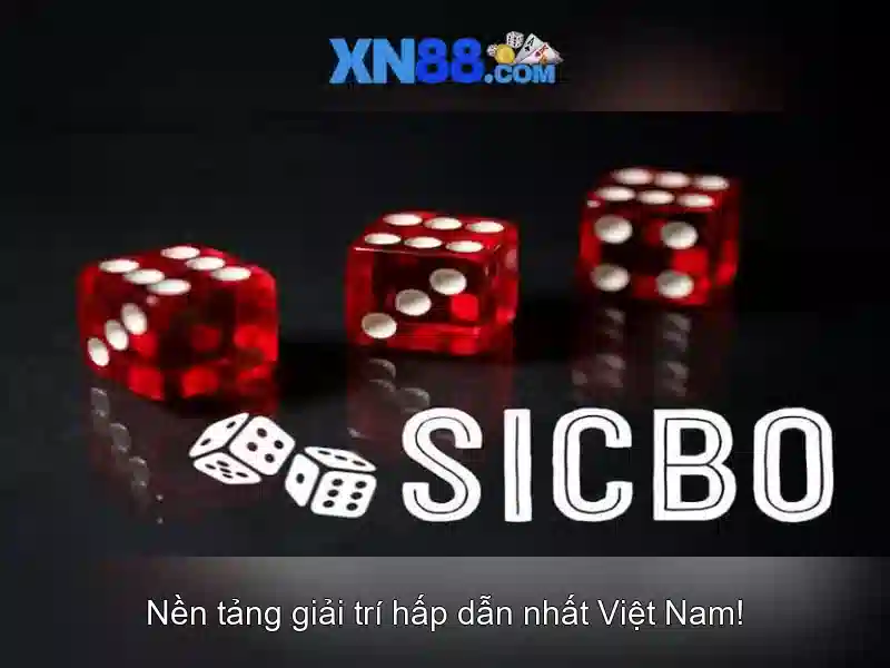 XN88 – Chính Sách Bảo Mật & An Toàn Thông Tin Người Chơi 2026