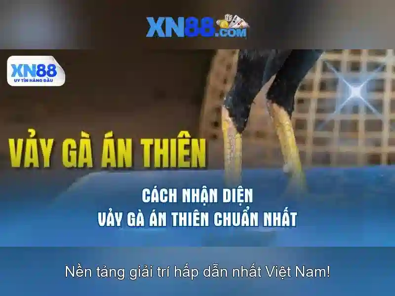 XN88 và trải nghiệm Slot 2026