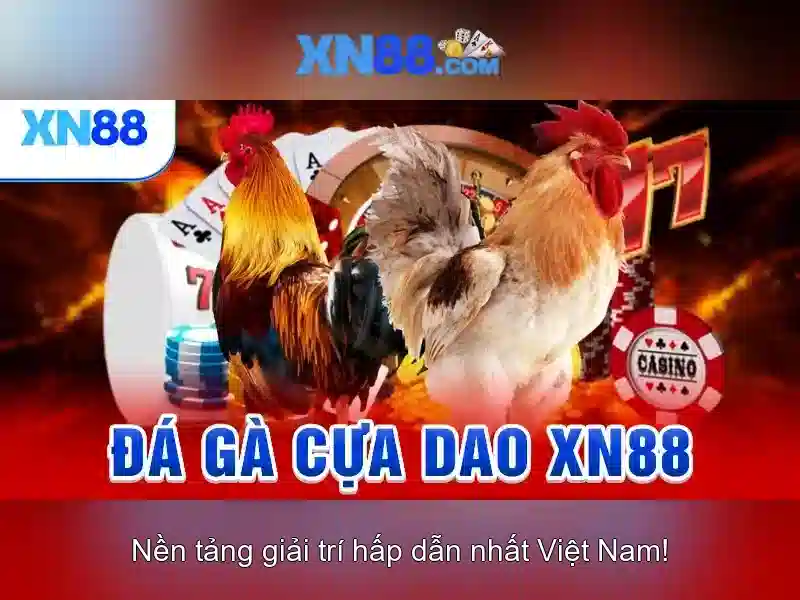 Điều khoản sử dụng XN88
