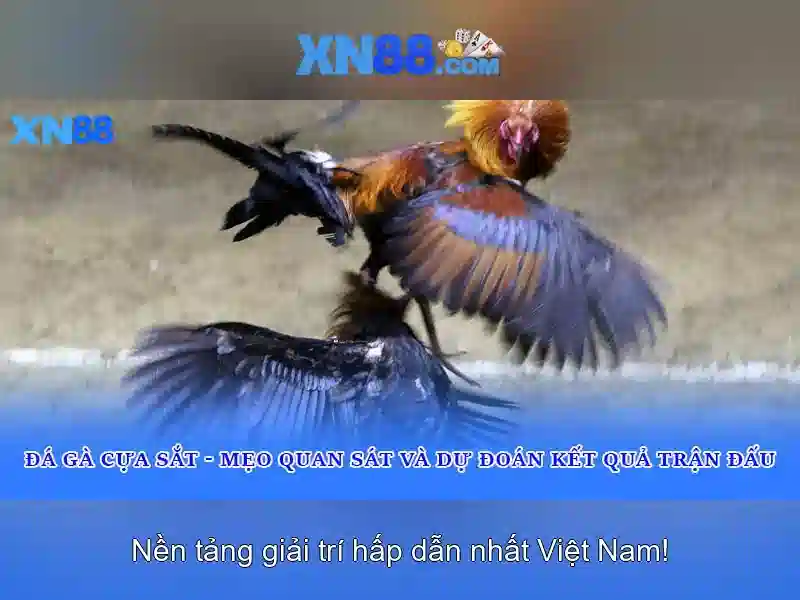 Trải Nghiệm Slot XN88