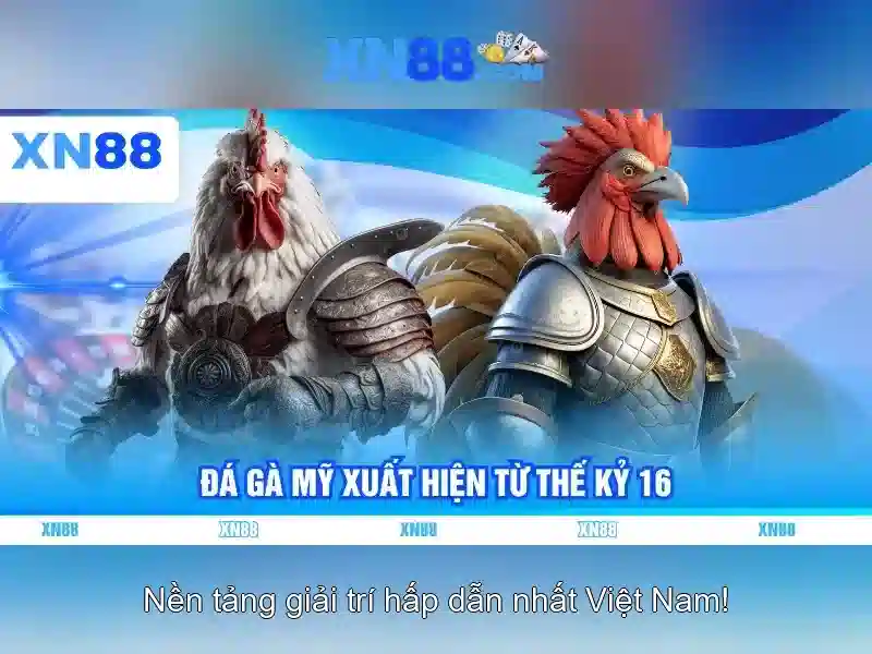 XN88 Casino – Trải Nghiệm Cá Cược An Toàn