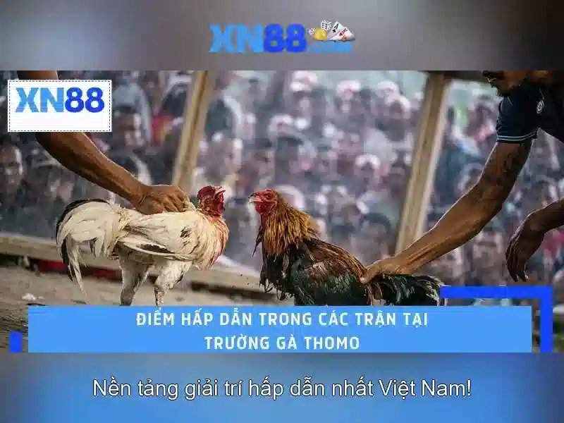 Chương trình khuyến mãi 88K