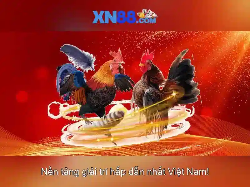 Trải nghiệm cá cược đỉnh cao
