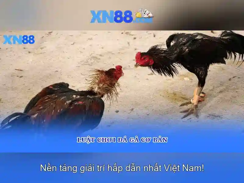 Hướng dẫn đăng ký XN88