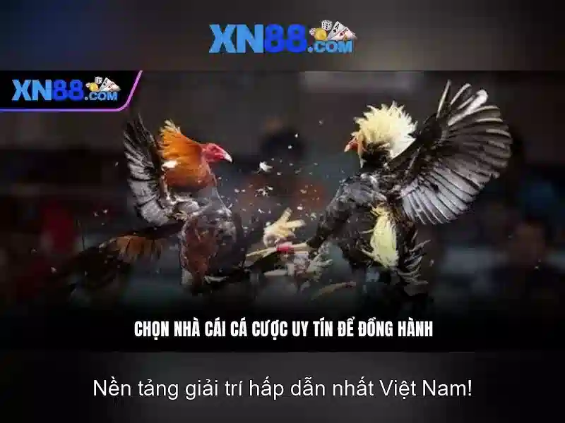 Tài XN88 - Trải Nghiệm Slot Đỉnh Cao Với Giao Diện Hiện Đại