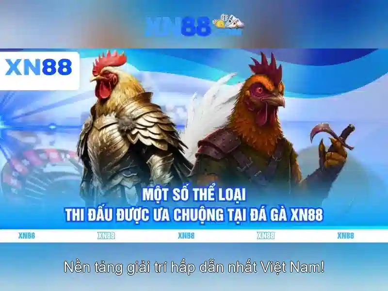 Trải Nghiệm Cá Nhân Hóa