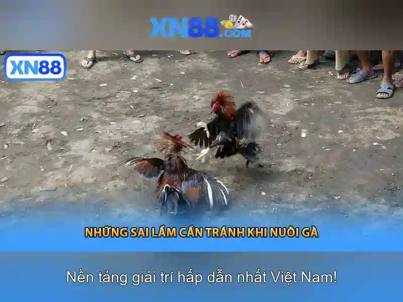 Quy Định Nạp Rút Tiền XN88