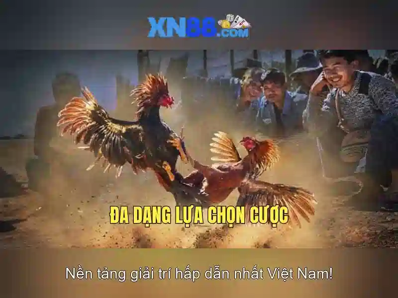 Hướng Dẫn XN88 – Tải Google Play, Trải Nghiệm Slot Đỉnh Cao 2026