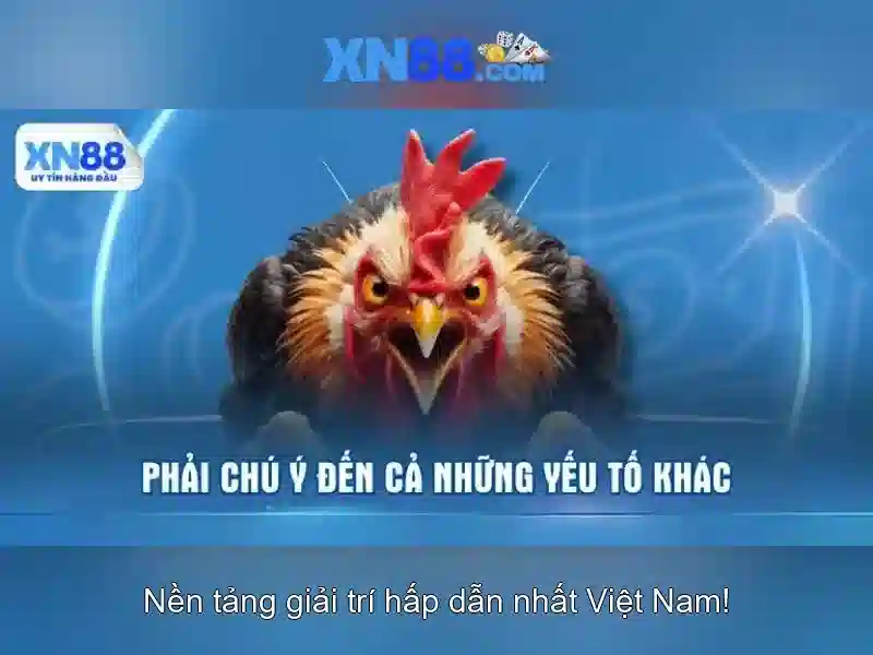 Tải App XN88