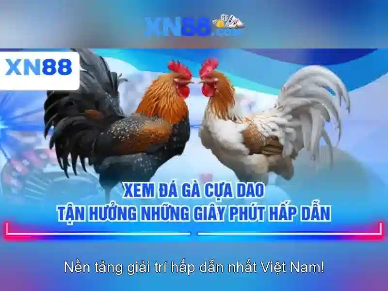 Thẻ quà tặng đăng ký XN88