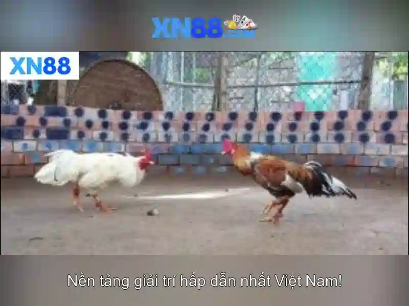 Tính Năng Nổi Bật Của Ứng Dụng Slot XN88