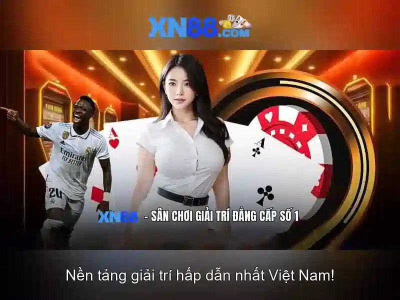 XN88 – Điều Khoản và Điều Kiện Dành Cho Người Dùng App XN88