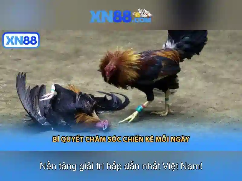 XN88 Game Slot Đa Dạng và Đa Thể Loại