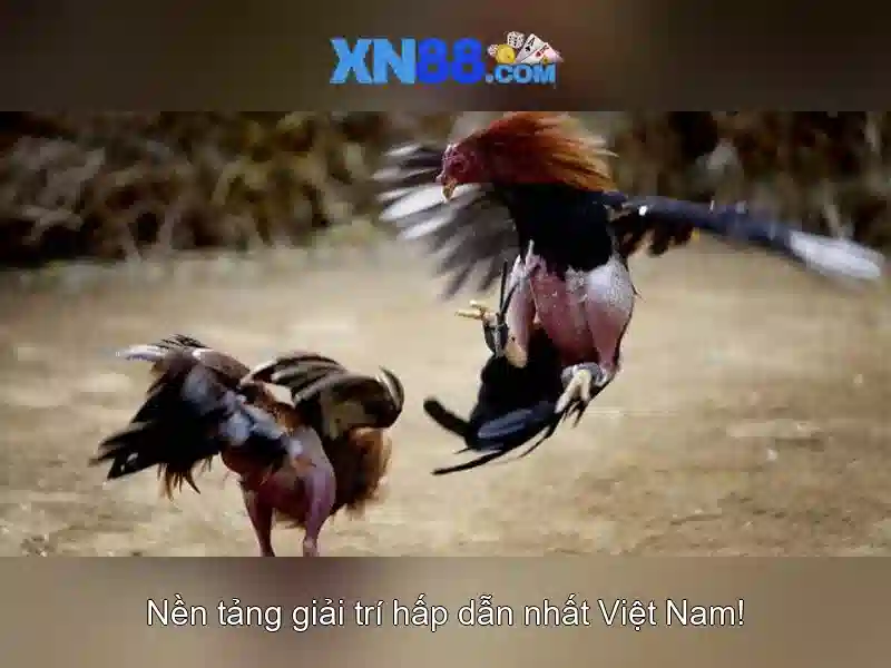XN88 App Com - Trải Nghiệm Slot Đỉnh Cao Với Ứng Dụng Di Động